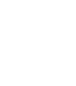 Salamon & Company ApS