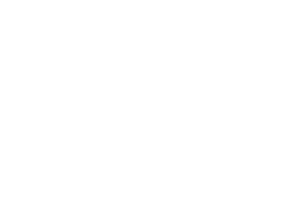 Phoenix CSG ApS