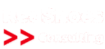 RedShoes Consulting ApS